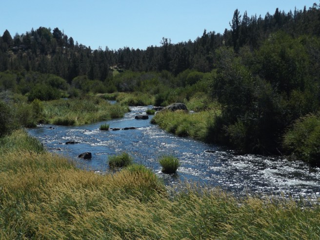 Cline Falls-peaceful scene