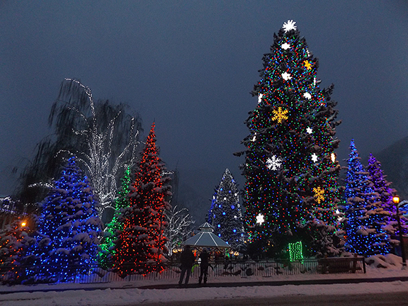 trees-in-leavenworth
