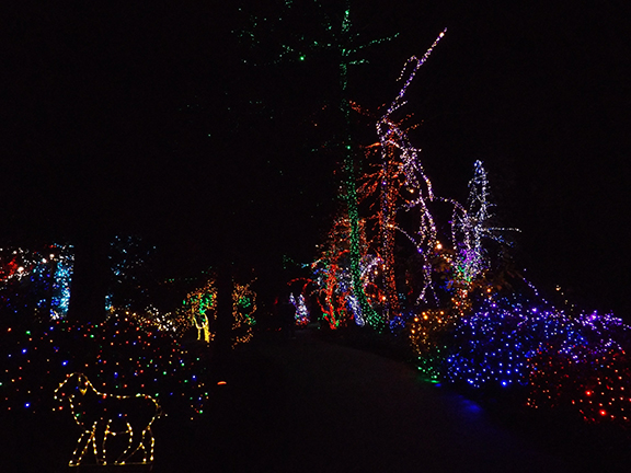 walkway-at-the-grotto