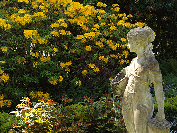Flowers and fountain