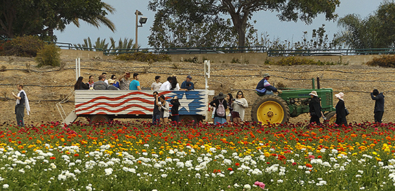 Tractor ride through the fields