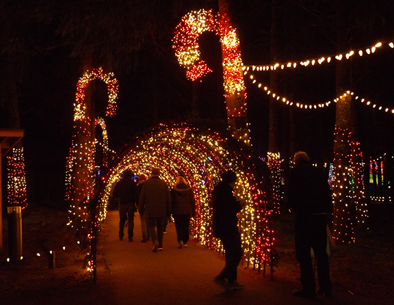 OregonGardenLightTunnel