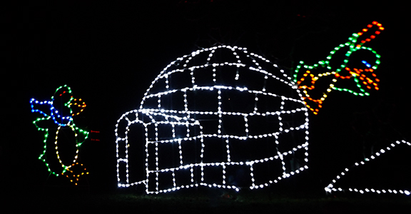 PenguinSlideFantasyLights