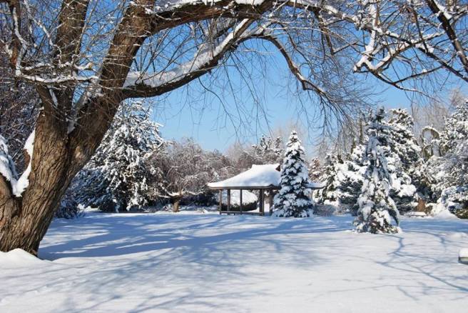 SnowYakimaAreaArboretum