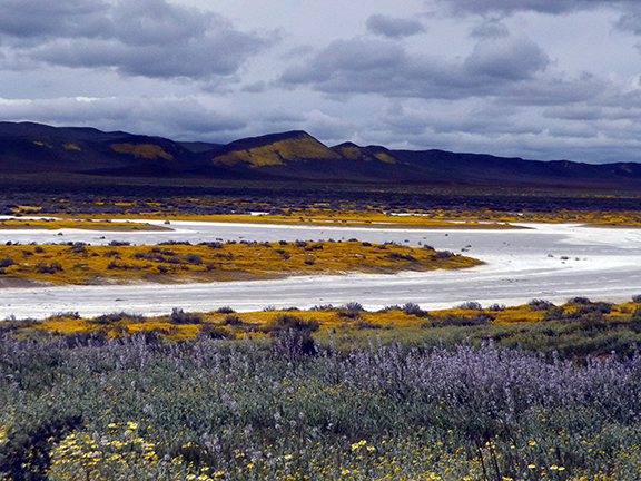 Carrizo-Plain-Soda-Lake