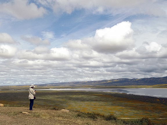 Soda-Lake-panorama-Carrizo-Plain