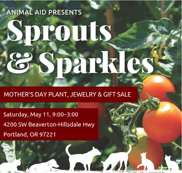 Sprouts-and-Sparkles-poster-2019