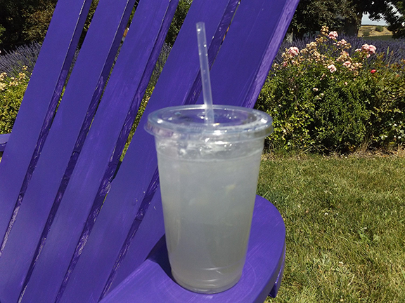 lavender-lemonade-Selah-Ridge-Lavender-Farm