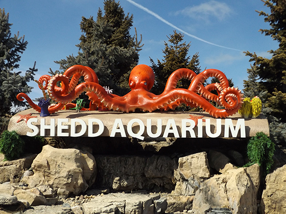 Shedd-Aquarium-sign-Chicago