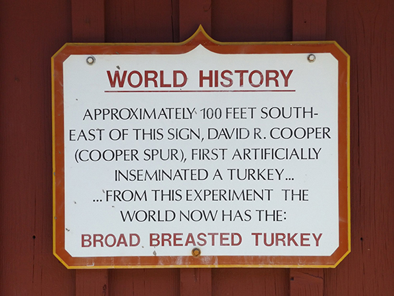 broad-breasted-turkey-sign-Parkdale