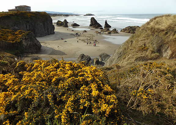 Circles-in-the-Sand-Bandon
