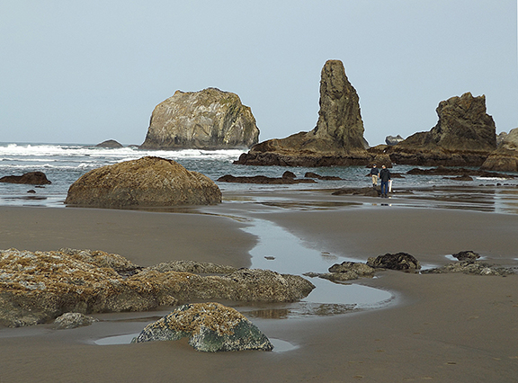 Circles-in-the-Sand-Bandon11