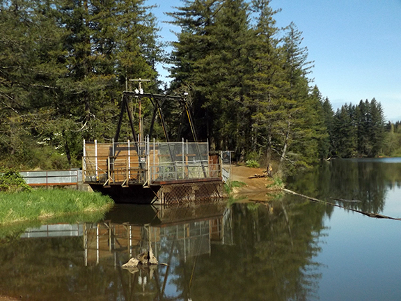 Dam-Number-2-Lacamas-Regional-Park2