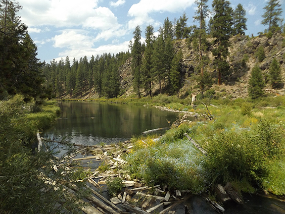 Deschutes-River-Trail-2.1-log-jam4