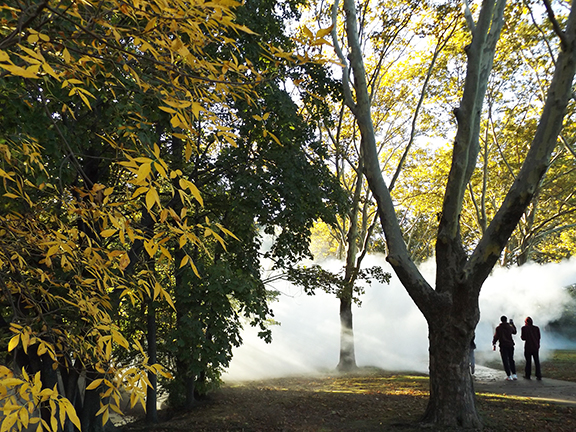 Fox-x-Canopy-sculpture-Emerald-Necklace-Boston13