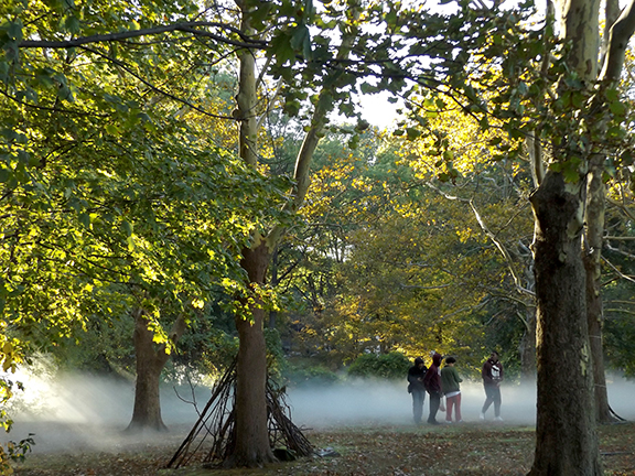 Fox-x-Canopy-sculpture-Emerald-Necklace-Boston19