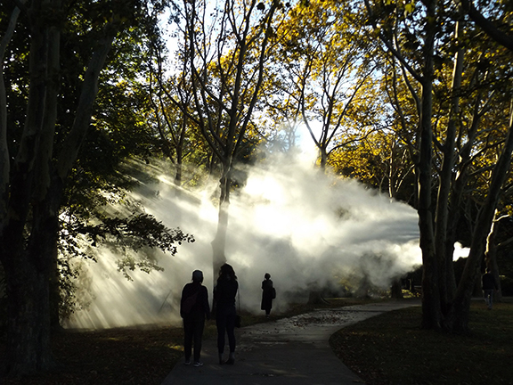 Fox-x-Canopy-sculpture-Emerald-Necklace-Boston6
