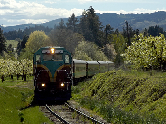 Fruit-Blossom-Special10