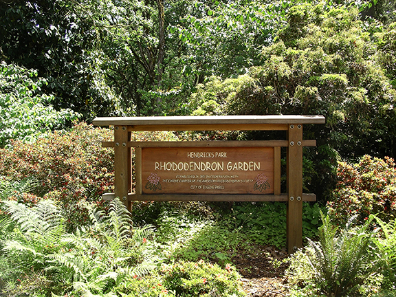Hendricks-Park-Rhododendron-Garden-Eugene