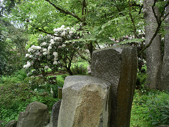 Hendricks-Park-Rhododendron-Garden-Eugene10