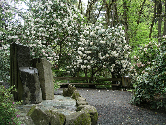 Hendricks-Park-Rhododendron-Garden-Eugene11