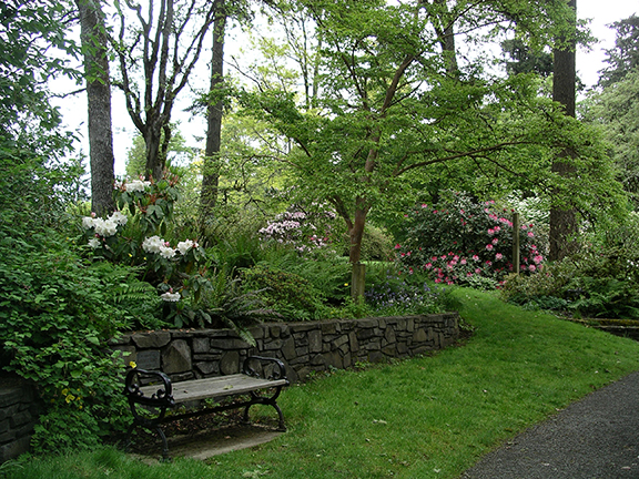 Hendricks-Park-Rhododendron-Garden-Eugene13