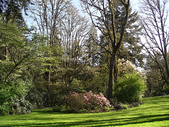 Hendricks-Park-Rhododendron-Garden-Eugene2