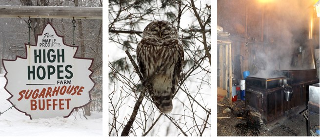 High-Hopes-Farm-Sugar-House-Worthington1