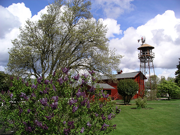 Hulda-Klager-Lilac-Gardens-Woodland11