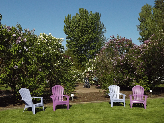 Hulda-Klager-Lilac-Gardens-Woodland12