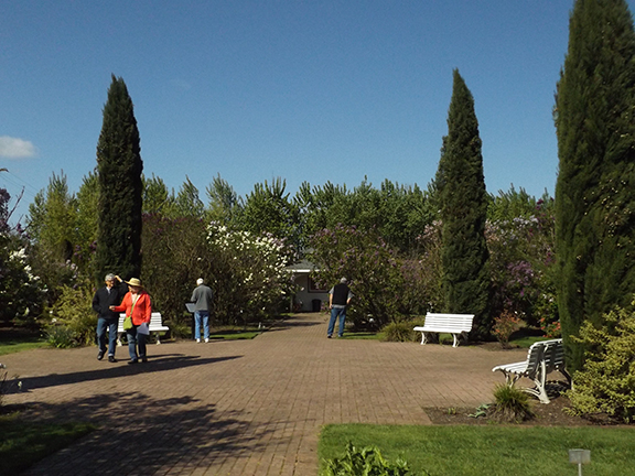 Hulda-Klager-Lilac-Gardens-Woodland17