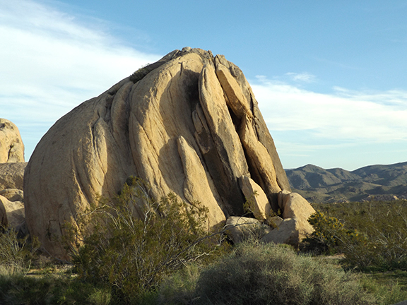 Joshua-Tree-National-Park11