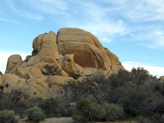 Joshua-Tree-National-Park14