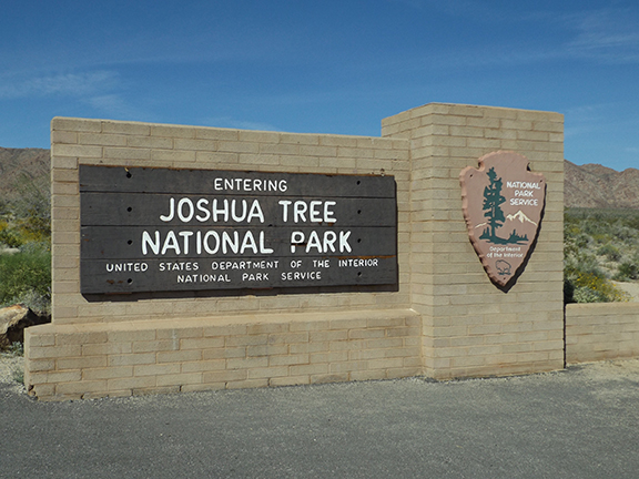 Joshua-Tree-National-Park2