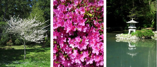 Mingus-Park-Coos-Bay1