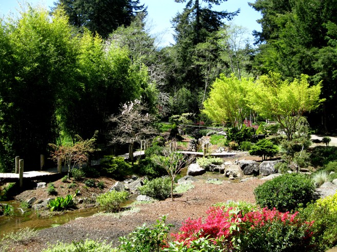 Mingus-Park-Coos-Bay10