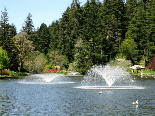 Mingus-Park-Coos-Bay4