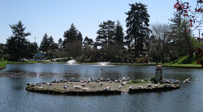 Mingus-Park-Coos-Bay6