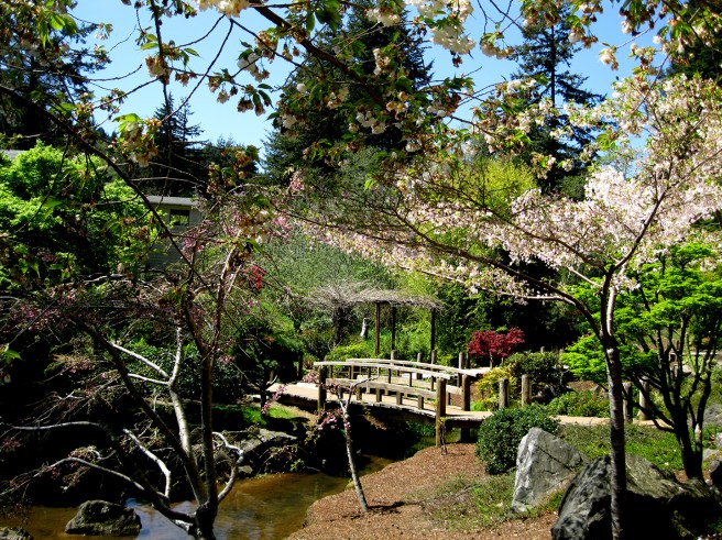 Mingus-Park-Coos-Bay9