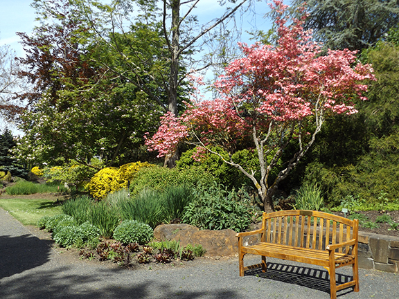 Oregon-Garden-Silverton11
