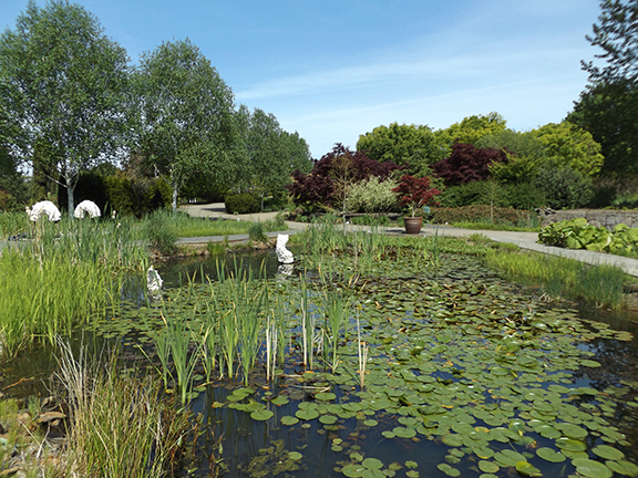 Oregon-Garden-Silverton3