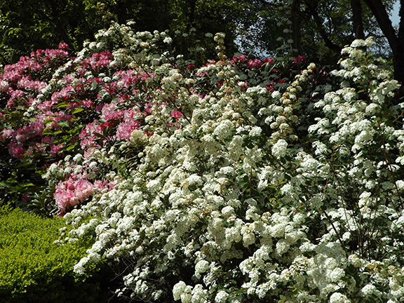 Oregon-Garden-Silverton9