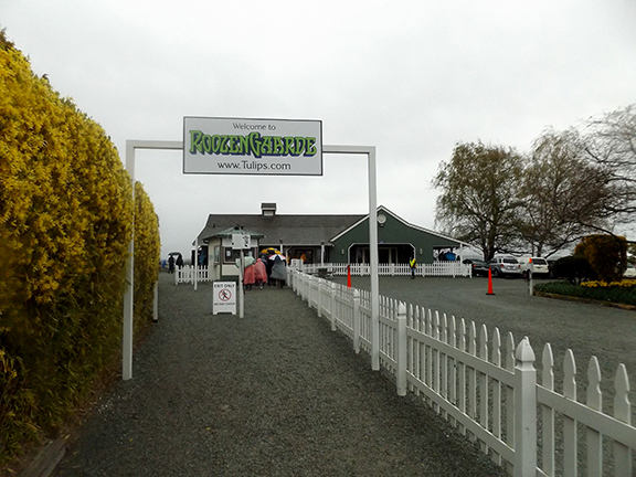 Roozengaarde-entrance-Skagit-Valley