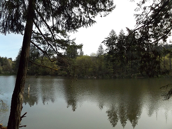 Round-Lake-Lacamas-Regional-Park