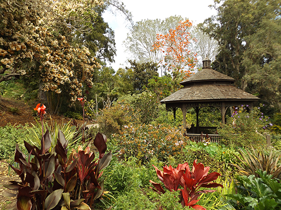 San-Diego-Botanical-Garden16
