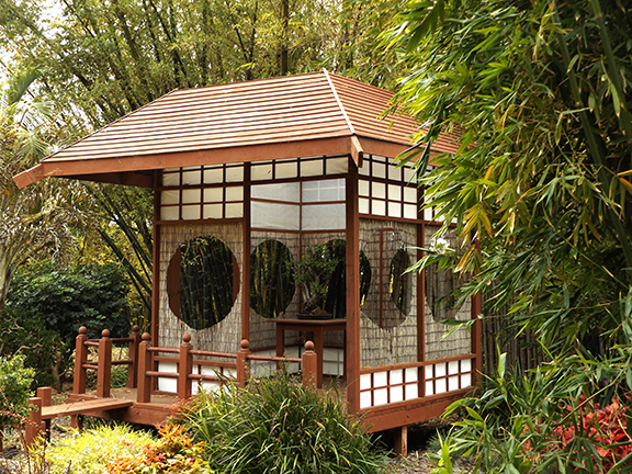 San-Diego-Botanical-Garden24