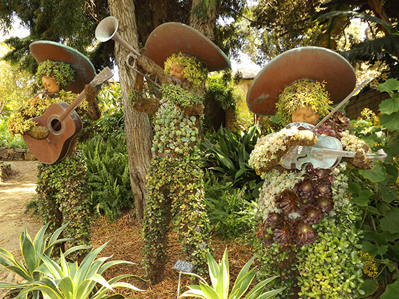 San-Diego-Botanical-Garden4