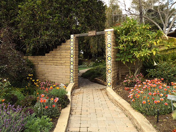 San-Diego-Botanical-Garden9