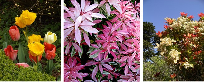 Shore-Acres-State-Park1a