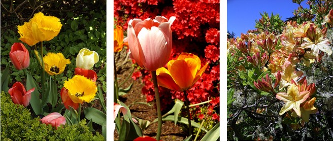 Shore-Acres-State-Park1b